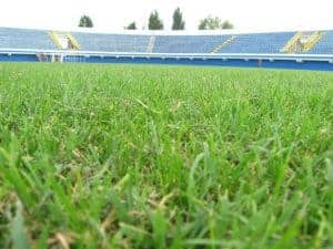 stadion7